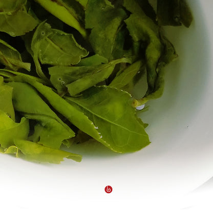 GREEN ESSENCE